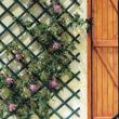 Mini Trellis zöld 0,5x1,5 m