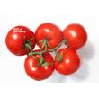 BiOgardena GYÜMÖLCSÖK, ZÖLDSÉGEK ÉS DÍSZNÖVÉNYEK Tápanyaga 8kg