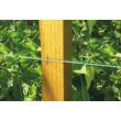 TRELLINET Lugas háló / uborkaháló 1,7x10m, zöld