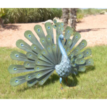 Peacock páva dísz