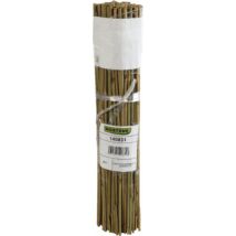 Bambusz termesztő karó (6db/köteg) 0,6 m